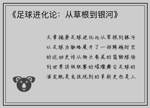 《足球进化论：从草根到银河》