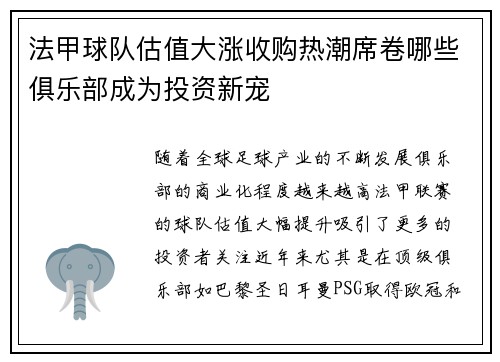 法甲球队估值大涨收购热潮席卷哪些俱乐部成为投资新宠