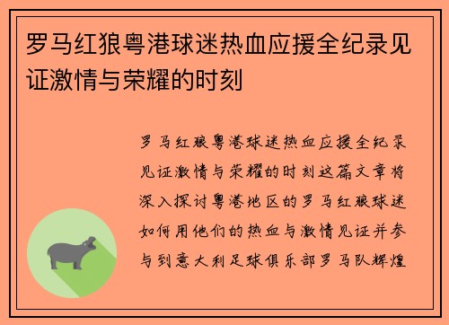 罗马红狼粤港球迷热血应援全纪录见证激情与荣耀的时刻